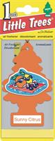  Car-freshner  UIP-10315-RUSS 